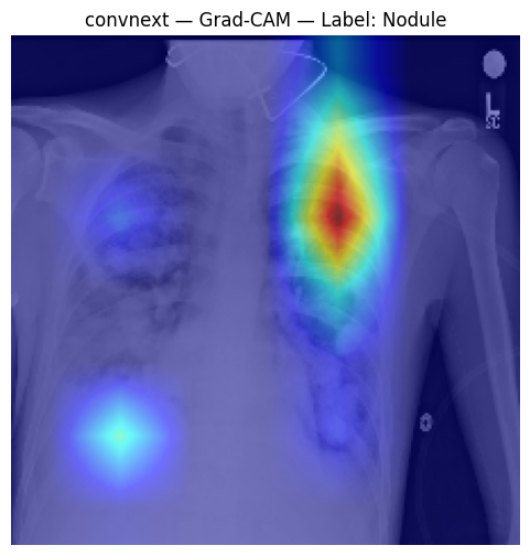 ConvNeXt Grad-CAM